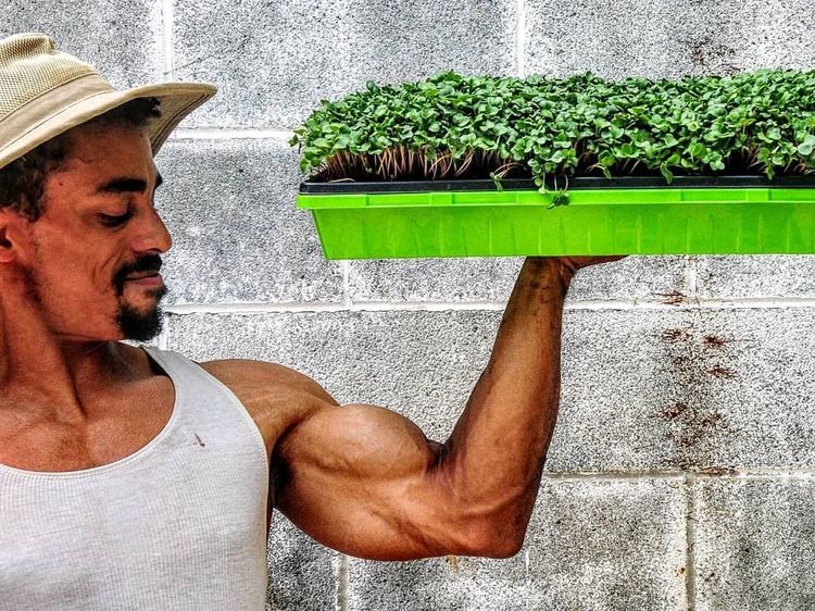 Itu Urat Apa Akar? Potret Mike, Petani Kekar yang Senang Berpose
