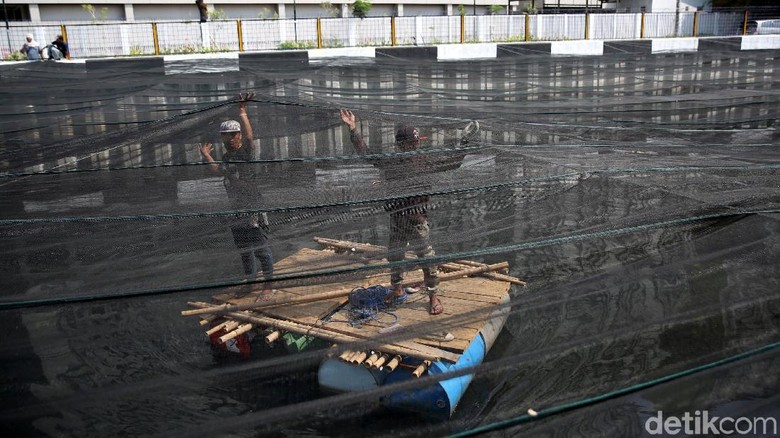 Soal Waring di Kali Item, Pengamat: Cara Instan Tutupi Masalah Soal Waring di Kali Item, Pengamat: Cara Instan Tutupi Masalah