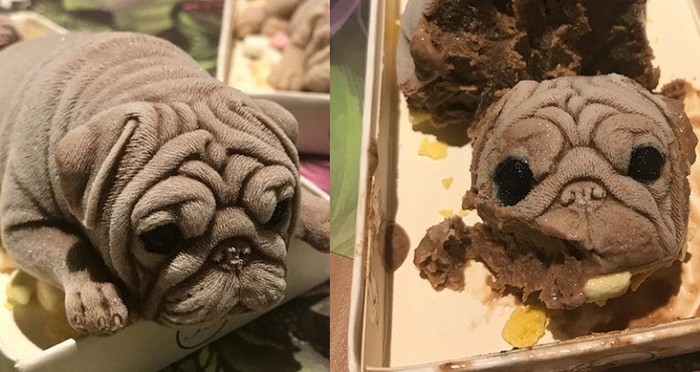 10+ Anjing bulldog info