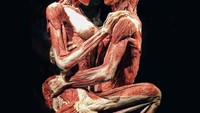 Body Worlds pertama kali didirikan oleh ahli anatomi Jerman Dr Gunther von Hagens. Pada tahun 1977 ia menemukan teknik plastinasi di mana jenazah diawetkan dengan plastik. (Foto: Instagram) 