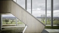 Walaupun rumah ini menggantung tapi ada tangga kecil yang menghubungkan rumah dengan permukaan tanah lho. Istimewa/Inhabitat.