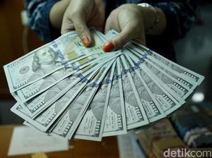 Dolar AS Rp 14.800, Pengusaha: Bukan Sesuatu yang Mengejutkan