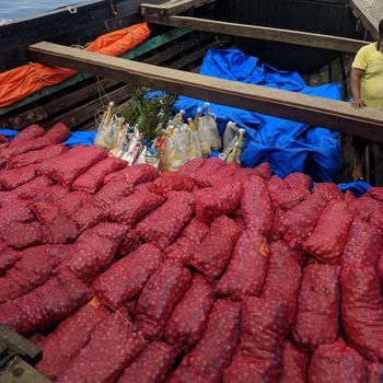 Bawang merah yang diselundupkan dari Thailand