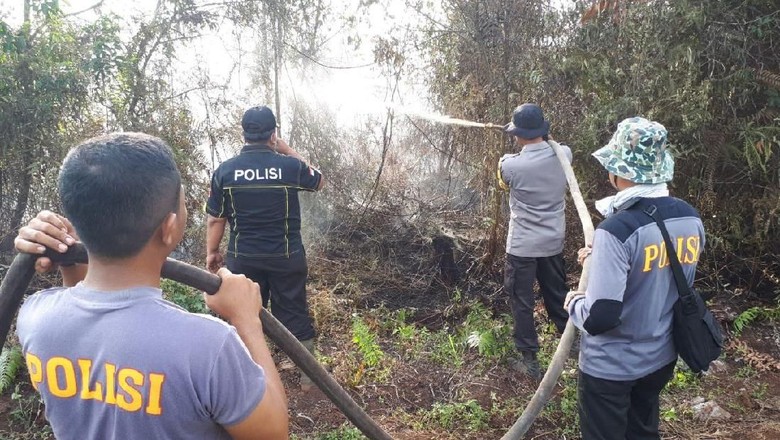 15 Hektare Hutan Konservasi di Riau Terbakar 15 Hektare Hutan Konservasi di Riau Terbakar