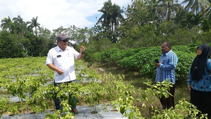 Foto: Dok Kementan Foto: Dok Kementan