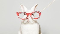 Tak hanya anjing, kelinci pun menjadi model photo booth ini. Menggunakan kacamata besar, si putih semakin imut dan bikin gemas. Istimewa/Boredpanda.
