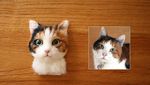 Wow! Hiasan Kucing Ini Terlihat Seperti Asli