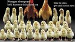 Terungkap! Meme Panggilan Sayang Ternyata Asalnya dari Sebutan Makanan