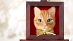 Wow! Hiasan Kucing Ini Terlihat Seperti Asli