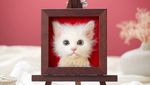 Wow! Hiasan Kucing Ini Terlihat Seperti Asli