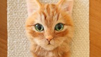 Seorang seniman Jepang dengan nama Wakuneco berhasil membuat warganet bingung sekaligus kagum dengan karya seni kucingnya. Istimewa/Boredpanda.