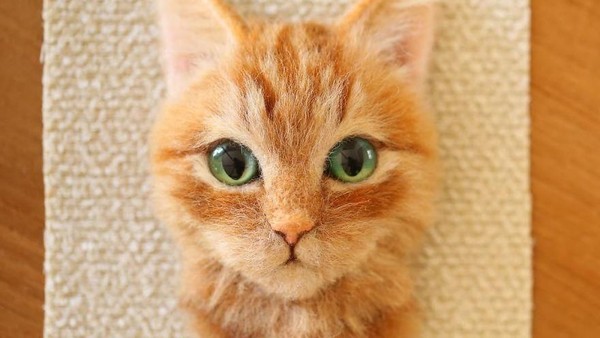 Wow! Hiasan Kucing Ini Terlihat Seperti Asli