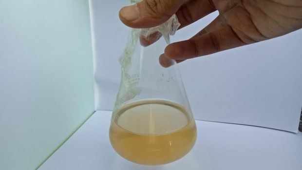 Pasir besi dinilai bisa meningkatkan hasil pembacaan dalam pemeriksaan kanker.