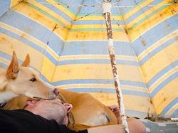 Deretan Foto Pemenang Fotografi Anjing yang Menggemaskan