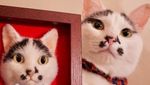Wow! Hiasan Kucing Ini Terlihat Seperti Asli