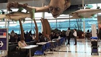 Menunggu pesawat di bandara ini serasa ada di dalam film Lord of The Ring. Istimewa/boredpanda.