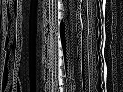 Deretan Potret Menawan Hasil Jepretan Kamera iPhone