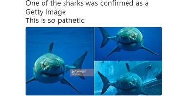 Netizen yang sama juga bilang kalau salah satu ikan di poster Aquaman diambil dari Getty Images. Foto: Istimewa