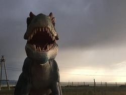 Deretan Potret Menawan Hasil Jepretan Kamera iPhone