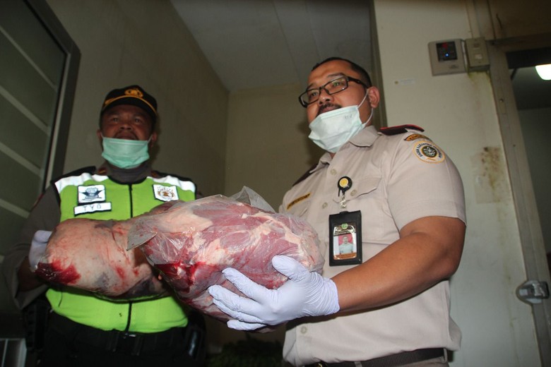 Karantina Kementan: Daging Celeng Bisa Tularkan Penyakit ke Manusia Karantina Kementan: Daging Celeng Bisa Tularkan Penyakit ke Manusia