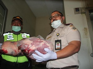 Karantina Kementan: Daging Celeng Bisa Tularkan Penyakit ke Manusia