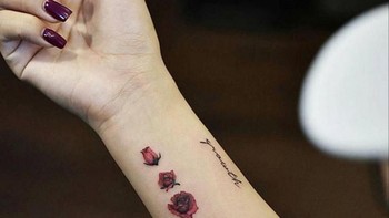 Tahap-tahap bunga mawar mekar. Foto: Istimewa