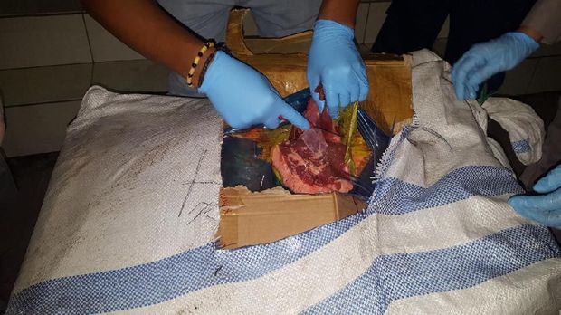 Karantina: Daging Celeng Berpotensi Tularkan Penyakit ke Manusia