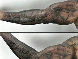 Karya Seni Tato 3D Tubuh yang Mengagumkan