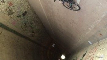 Sebenarnya dia cuma tiduran di aspal lho. Foto: Istimewa