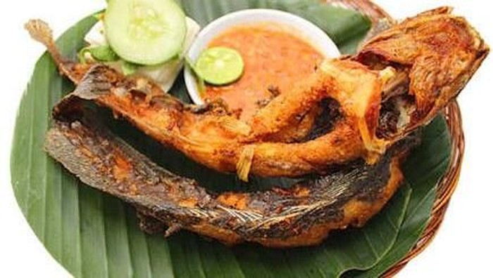 Sampai Dituduh Pemicu Kanker Benarkah Lele  Ikan  yang  Jorok 