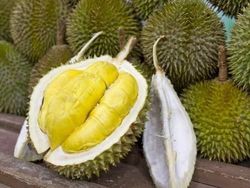 Viral 2 Ton Durian di Sriwijaya Air, Kemenhub: Boleh asal Sesuai SOP