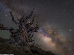 Jepretan Fantastis Finalis Kontes Foto Astronomi