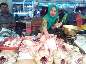 Kementan Sebut Harga Daging Ayam Mulai Turun