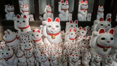 Foto Kucing Pembawa Keberuntungan dari Jepang