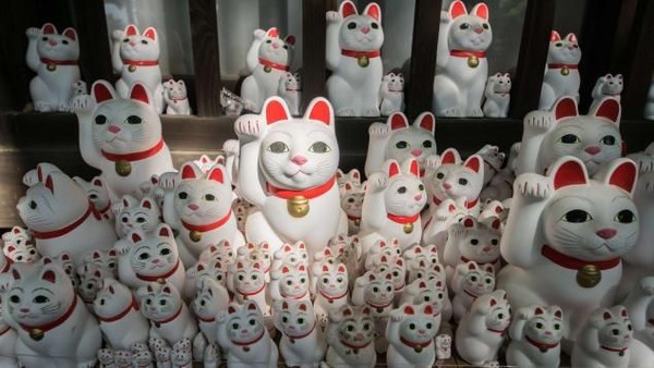 Foto Kucing Pembawa Keberuntungan dari Jepang