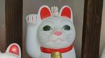 Foto Kucing Pembawa Keberuntungan dari Jepang