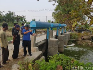 485 Hektar Lahan Padi di Lamongan Terancam Kekeringan, Ini Rinciannya