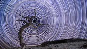 Holding Due North karya fotografer Jake Mosher asal Amerika Serikat. Foto-foto yang masuk nantinya akan dipilih oleh jur-juri ahli fotografi astronomi dari Royal Observatory Greenwich.  (Foto: National Maritime Museum)