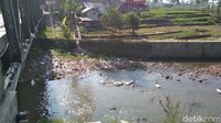 Karung berisi limbah bulu ayam di Sungai Cimanuk Garut