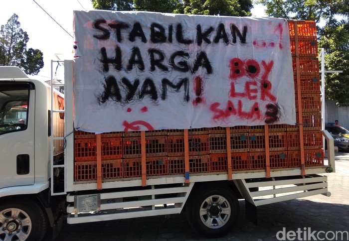 truk ayam broiler