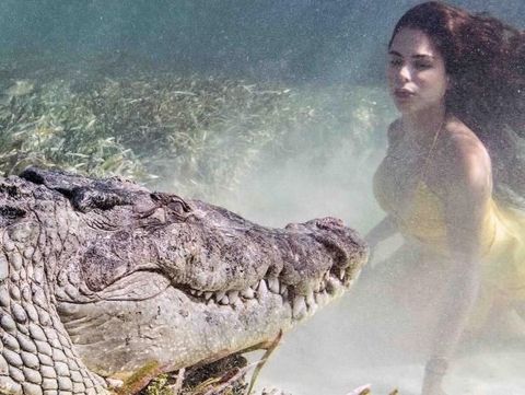 Ngeri! Model Ini Jalani Pemotretan Ekstrem dengan Buaya