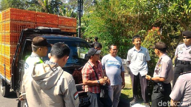 Pedagang ayam di Boyolali mau mengadu ke DPRD soal pasokan ayam seret
