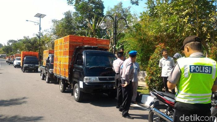 Foto: Ragil Ajiyanto/detikcom Foto: Ragil Ajiyanto/detikcom