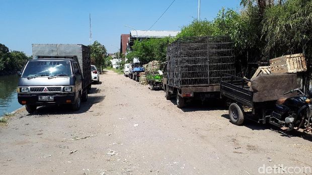 Risma Sidak Jalan yang akan 'Disulap' Jadi Jogging Track