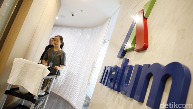 Rebut Saham Freeport, Inalum Modal Dengkul
