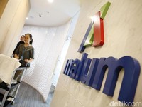 Rebut Saham Freeport, Inalum Modal Dengkul