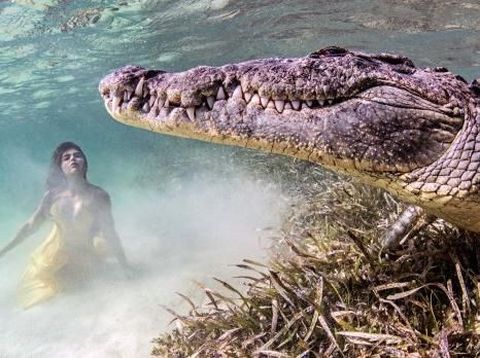 Ngeri! Model Ini Jalani Pemotretan Ekstrem dengan Buaya