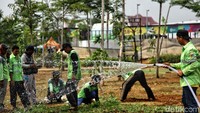 Petugas menyiram rumput.