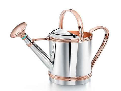 Pot siram Tiffany & Co. yang harganya setara rumah kecil di pinggiran Jakarta. 