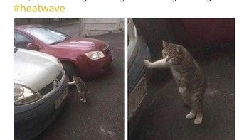 Sehabis melakukan pekerjaan yang sederhana pun rasanya langsung lelah. Foto: Istimewa